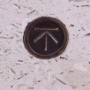 coin-in-roach